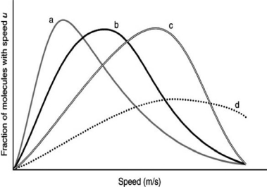 <strong>Air is primarily nitrogen and oxygen, but noble gases such as argon and helium can also be present.The following graph shows the speed distributions for these different gases at the same temperature.Which curve might represent nitrogen? </strong> A)A B)B C)C D)D E)More information is needed.