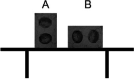 <strong>Two identical cement blocks are placed on a glass table in different positions, as shown in the diagram.Which statement about these blocks is correct? </strong> A)A exerts more pressure on the table. B)B exerts more pressure on the table. C)Both blocks exert the same pressure on the table. D)A exerts more force on the table. E)B exerts more force on the table.