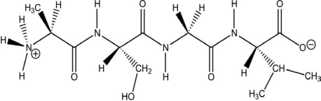 <strong>The molecule drawn below is an example of an) </strong> A)nucleic acid base. B)peptide. C)carbohydrate. D)fatty acid. E)amino acid.