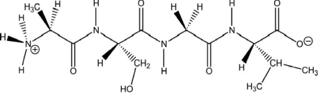 <strong>What is the name of the peptide shown? </strong> A)valylseylalanine B)alaylserylvaline C)alasergylvaline D)valinylglycinylserinylalanine E)alanylserylglycylvaline