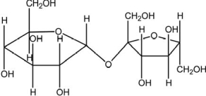 <strong>The molecule drawn below is an example of a a(n) </strong> A)nucleic acid base. B)amino acid. C)carbohydrate. D)fatty acid. E)lipid.