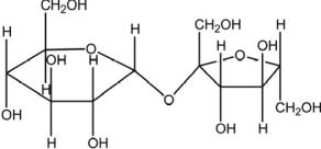 <strong>The molecule drawn below is an example of a </strong> A)nucleic acid base. B)dipeptide. C)disaccharide. D)fatty acid. E)lipid.