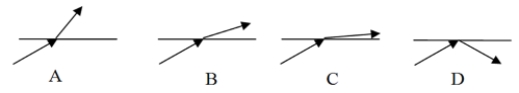 <strong>Rays of light traveling through different media hit the boundary between the media and the air. The angle of incidence is the same in each case. Which medium has the largest index of refraction? </strong> A) A B) B C) C D) D