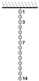 <strong>You have a set of 14 metal weights strung together by nylon fishing line at equal intervals. Each has a weight of 0.20 N. You suspend this array from the ceiling. Which part of the array has the greatest tension in the fishing line?</strong> A) above weight 1. B) between weights 1 and 3. C) exactly at weight 7. D) just above weight 14.