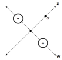 <strong>Consider the field lines of the electric dipole in this diagram, relative to the w-axis and the z-axis. In which direction does the electric field point where the two axes intersect?</strong> A) 45 \degree up and to the right, parallel to the z-axis: B) 45 \degree down and to the right, parallel to the w-axis: C) 45 \degree down and to the left, parallel to the z-axis: D) 45 \degree up and to the left, parallel to the w-axis: