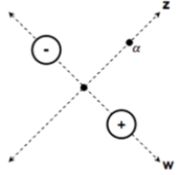 <strong>Consider the field lines of the electric dipole in this diagram, relative to the w-axis and the z-axis. In which direction does the electric field point where the two axes intersect?</strong> A) 45 \degree up and to the right, parallel to the z-axis: B) 45 \degree down and to the right, parallel to the w-axis: C) 45 \degree down and to the left, parallel to the z-axis: D) 45 \degree up and to the left, parallel to the w-axis: