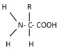 <strong>This would be the general representation of </strong> A)an amino acid. B)a fatty acid. C)a nucleic acid. D)glycerol.