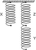 <strong>Three identical springs (X, Y, Z)are arranged as shown.When a 4.0-kg mass is hung on X, the mass descends 3.0 cm.When a 6.0-kg mass is hung on Y, the mass descends: </strong> A)2.0 cm B)4.0 cm C)4.5 cm D)6.0 cm E)9.0 cm