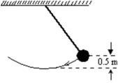 <strong>The long pendulum shown is drawn aside until the ball has risen 0.5 m.It is then given an initial speed of 3.0 m/s.The speed of the ball at its lowest position is: </strong> A)0 m/s B)0.89 m/s C)3.1 m/s D)3.7 m/s E)4.3 m/s