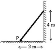 <strong>An 80-N uniform plank leans against a frictionless wall as shown.The torque (about point P)applied to the plank by the wall is: </strong> A)40 N.m B)60 N.m C)120 N.m D)160 N.m E)240 N.m