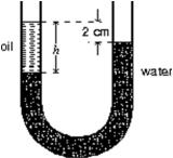 <strong>The density of water is 1.0 g/cm<sup>3</sup>.If h = 20 cm, the density of the oil in the left column of the U-tube shown below is: </strong> A)0.20 g/cm<sup>3</sup> B)0.90 g/cm<sup>3</sup> C)1.0 g/cm<sup>3</sup> D)1.3 g/cm<sup>3</sup> E)5.0 g/cm<sup>3</sup>