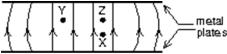<strong>The diagram shows the electric field lines due to two charged parallel metal plates.We conclude that: </strong> A)the upper plate is positive and the lower plate is negative B)a proton at X would experience the same force if it were placed at Y C)a proton at X experiences a greater force than if it were placed at Z D)a proton at X experiences less force than if it were placed at Z E)an electron at X could have its weight balanced by the electrical force