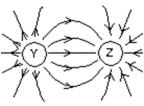 <strong>The diagram shows the electric field lines in a region of space containing two small charged spheres (Y and Z).Then: </strong> A)Y is negative and Z is positive B)the magnitude of the electric filed is the same everywhere C)the electric field is strongest midway between Y and Z D)Y is positive and Z is negative E)Y and Z must have the same sign
