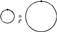 An electron and a proton both each travel with equal speeds around circular orbits in the same uniform magnetic field, as shown in the diagram (not to scale).The field is into the page on the diagram.Because the electron is less massive than the proton and because the electron is negatively charged and the proton is positively charged: