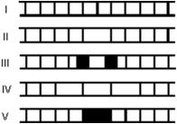 <strong>Monochromatic plane waves of light are incident normally on a single slit.Which one of the five figures below most correctly shows the diffraction pattern observed on a distant screen? </strong> A)I B)II C)III D)IV E)V