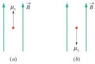 <strong>The figure shows two different orientations of a proton in a magnetic field.Which orientation is at higher energy? </strong> A)a B)b C)Both are at the same energy, and there is no other orientation at higher energy. D)Both are at the same energy, but if the spin vector were perpendicular to the magnetic field the energy would be higher. E)Both are at the same energy, but if the spin vector were perpendicular to the magnetic field the energy would be lower.