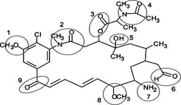<strong>Correctly identify the following functional groups in this organic molecule-amide,ester,ketone,ether,alcohol,aldehyde,amine. </strong> A)1 = ether,3 = ester,6 = aldehyde,9 = alcohol B)2 = amide,4 = ester,7 = amine,8 = ether C)1 = ester,5 = alcohol,8 = ether,9 = ketone D)2 = amide,6 = aldehyde,7 = amine,8 = ether