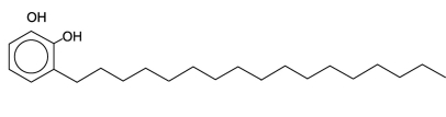 <strong>One of the skin-irritating components of poison oak is tetrahydrourushiol: The long,nonpolar hydrocarbon tail embeds itself in a person's oily skin,where the molecule initiates an allergic response.Scratching the itch spreads tetrahydrourushiol molecules over a greater surface area,causing the zone of irritation to grow.Is this compound an alcohol or a phenol?</strong> A)an alcohol because of the hydroxyl groups it contains B)both a phenol and an alcohol because of the hydroxyl groups it contains C)a phenol because of the hydroxyl groups attached to the benzene ring D)neither an alcohol or phenol because it contains two hydroxyl groups instead of one