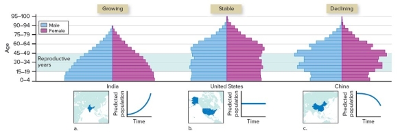 <strong> Source: Data from U.S. Census Bureau, International Data Base Based upon the age structure diagram,you expect the Indian population to</strong> A) grow because all of the age classes have roughly equal proportions of people. B) grow then shrink because many of the people will be entering the postreproductive years. C) grow because a large proportion of the population will be entering the reproductive years. D) grow then decline because a lower proportion of individuals are in prereproductive age classes. E) No answer is correct.