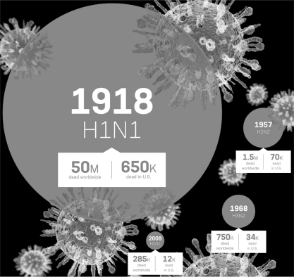 <strong>Since 1900,at least ________ people worldwide have died as a result of an H1N1 influenza infection. </strong> A) 50,000,000 B) 50,285,000 C) 650,000 D) 52,535,000