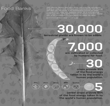 According to the infographic shown below,ninety-five percent of the food energy taken in by the world's human population is provided by ________ crops in kingdom ________.