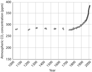<strong>Atmospheric carbon dioxide levels are shown below.This graph was developed by measurements that were obtained in which of the following two ways? </strong> A) direct measurements on Mauna Loa, Hawaii, and from air bubbles trapped in ice. B) studies of plant structures in response to differing CO₂ levels and measurements of carbon dioxide within rock layers. C) carbon isotope levels in seafloor sediments and from air bubbles trapped in ice. D) measurements from undisturbed bat droppings in caves on a South Pacific island and carbon isotope levels in sea floor sediments.