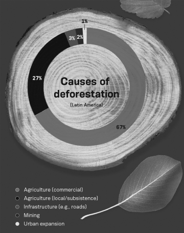 <strong>According to the infographic below,which of the following activities would MOST reduce deforestation? </strong> A) expanding public transportation B) finding alternative ways to provide for global food demands C) limiting the amount of mining activity in Latin America D) finding alternative ways to provide food for subsistence farmers