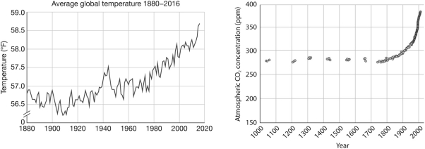 What trend is apparent when comparing the two graphs below?