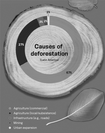 Your friend is upset about deforestation in Latin America and suggests that people living in areas where deforestation is occurring should stop using forested land to grow food for their families.Would a ban on cutting down trees for family farms remove the main driver of deforestation? Explain your answer using information from the infographic shown below.