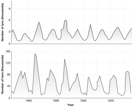 <strong>When comparing the peaks on both of the graphs below the lynx population reaches its maximum  </strong> A) slightly after the hare population reaches its maximum. B) slightly before the hare population reaches its maximum. C) at the same time that the hare population reaches its maximum. D) at random intervals that do not appear linked to hare populations. <div style=padding-top: 35px> 