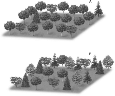 <strong>In comparing the two communities shown below,community </strong> A) A has a higher species richness. B) B has a higher species richness. C) A has more primary producers than community B. D) B has more primary producers than community A.