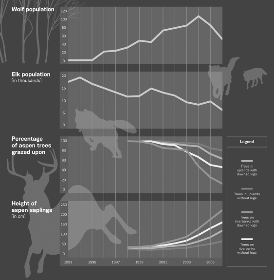 Discuss the hypotheses regarding how the reintroduction of wolves to the Yellowstone ecosystem has stimulated regrowth of two native tree species,aspen and cottonwood.