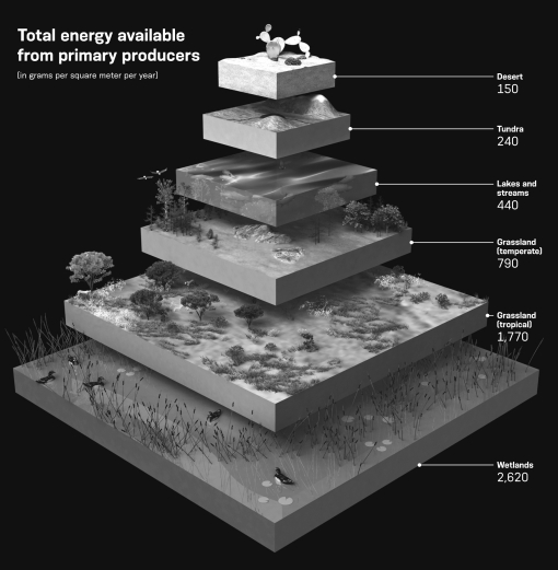 The units used in the infographic below report total energy available from primary producers in indicated biomes in ________.