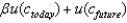 <strong>Which of the following represents the consumer's lifetime utility?</strong> A) B) C) D) E)
