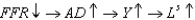 <strong>In the stylized DSGE model with sticky prices, how does contractionary monetary policy shock affect the labor market?</strong> A) B) C) D) E)