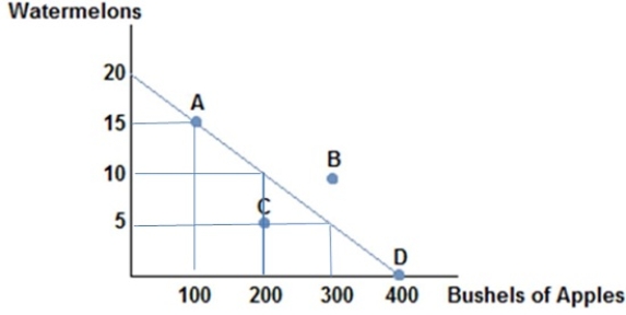 <strong> Consider the production possibilities frontier displayed in the figure shown. If this society chooses to produce 15 watermelons in can produce no more than:</strong> A) 400 bushels of apples. B) 300 bushels of apples. C) 200 bushels of apples. D) 100 bushels of apples.