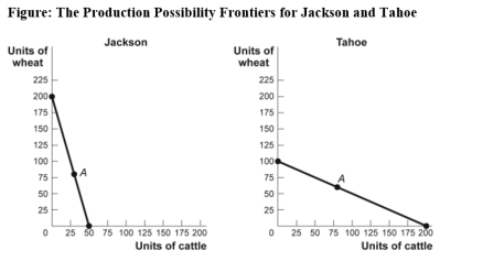 <strong>Use the following to answer question: (Figure: The Production Possibility Frontiers for Jackson and Tahoe)Use Figure: The Production Possibility Frontiers for Jackson and Tahoe.In autarky,Jackson produces and consumes 30 head of cattle and 80 bushels of wheat,while Tahoe produces and consumes 80 head of cattle and 60 bushels of wheat._____ has a(n)_____ advantage in the production of _____.</strong> A)Jackson;comparative;cattle B)Tahoe;comparative;wheat C)Jackson;comparative;wheat D)Jackson;absolute;cattle
