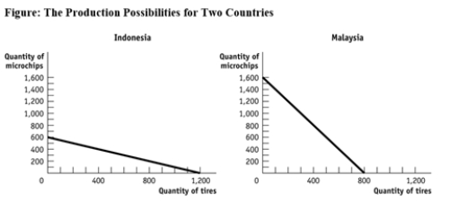 <strong>Use the following to answer question: (Figure: The Production Possibilities for Two Countries)Use Figure: The Production Possibilities for Two Countries.The opportunity cost of producing 1 microchip in Indonesia is _____ tire(s).</strong> A)0.5 B)1 C)2 D)6