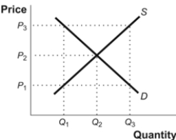 Use the following to answer question: -(Figure: Supply,Demand,and Equilibrium)Use Figure: Supply,Demand,and Equilibrium.In the figure,there will be an excess supply of the good at a price of P1.