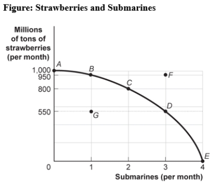 <strong>Use the following to answer question:   (Figure: Strawberries and Submarines)Use Figure: Strawberries and Submarines.Suppose the economy now operates at point C.Moving to point E would require that the economy:</strong> A)achieve full employment and an efficient allocation of resources. B)eliminate its production of strawberries. C)reduce its production of submarines. D)improve its technology or increase its quantities of factors of production. <div style=padding-top: 35px> 