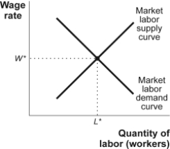 Use the following to answer question: Figure: Equilibrium in the Labor Market   -(Figure: Equilibrium in the Labor Market)Use Figure: Equilibrium in the Labor Market.In the figure,an increase in the productivity of labor,when everything else stays the same,will lead to a(n)_____ in the equilibrium quantity of labor and a(n)_____ in the equilibrium price of labor.