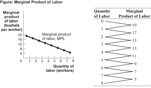 <strong>Use the following to answer question: (Figure: Marginal Product of Labor)Use Figure: The Marginal Product of Labor.The total product of labor for eight workers is _____ bushels.</strong> A)40 B)35 C)96 D)75