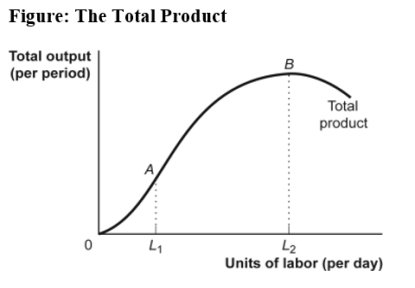 <strong>Use the following to answer question: (Figure: The Total Product)Use Figure: The Total Product.For hiring labor between zero and L<sub>1</sub>,the:</strong> A)marginal product of labor is increasing. B)marginal product of labor is decreasing. C)total product is increasing at a diminishing rate. D)total product is decreasing.