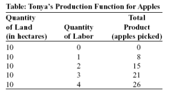 (Table: Tonya's Production Function for Apples)Use Table: Tonya's Production Function for Apples.As she hires more labor,Tonya's production function shows that the number of apples picked increases at a decreasing rate because of: