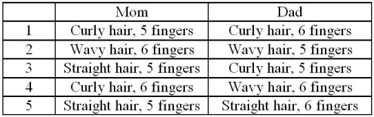 <strong>Amy has wavy hair and 6 fingers an autosomal dominant trait). Wavy hair is inherited through incomplete dominance. Which of the following combinations are possible for her parents? </strong> A) 5 only B) 1 and 2 C) 1, 3, and 4 D) 2, 4, and 5 E) 2 and 4
