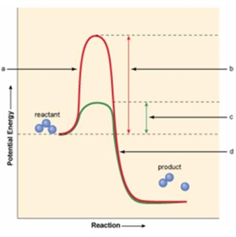<strong>Which of the areas shown in the figure below indicates the presence of an enzyme in the movement of reactant over to product? </strong> A) a B) b C) c D) d E) Both a & d