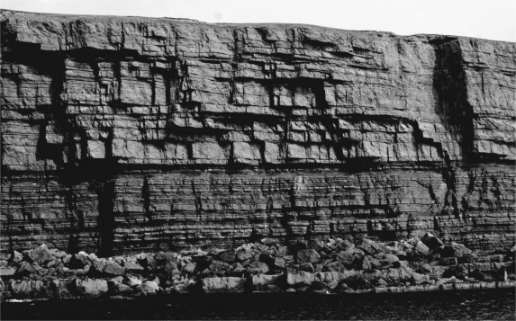 <strong>The following is a picture of what type of phenomenon? </strong> A) jointing B) exfoliation C) chemical weathering D) hydration