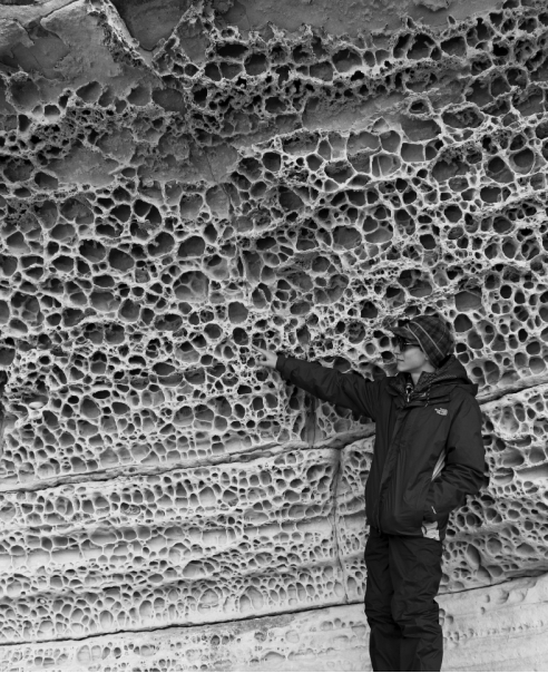 <strong>What type of weathering has produced the honeycomb-like features shown in the following photo? </strong> A) salt wedging B) frost wedging C) dissolution D) hydration