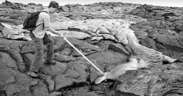 <strong>What type of rock is being formed in the photo? </strong> A) igneous B) sedimentary C) metamorphic D) extrusive