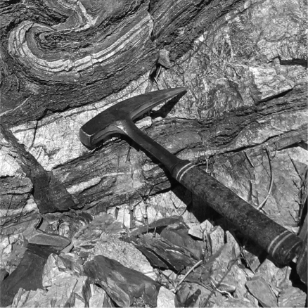 <strong>What type of rock is shown in the photo below? </strong> A) clastic B) sedimentary C) igneous D) metamorphic